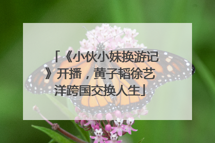 《小伙小妹换游记》开播，黄子韬徐艺洋跨国交换人生