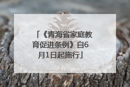 《青海省家庭教育促进条例》自6月1日起施行