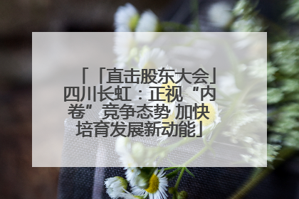 「直击股东大会」四川长虹：正视“内卷”竞争态势 加快培育发展新动能