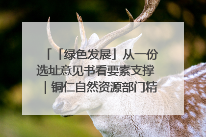 「绿色发展」从一份选址意见书看要素支撑｜铜仁自然资源部门精准服务助力项目落地