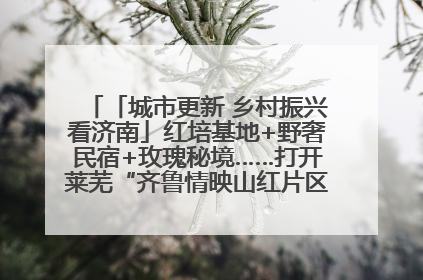 「城市更新 乡村振兴看济南」红培基地+野奢民宿+玫瑰秘境……打开莱芜“齐鲁情映山红片区”的破圈秘籍