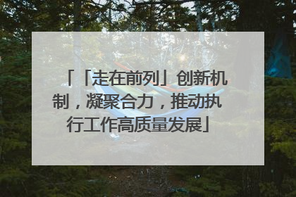 「走在前列」创新机制，凝聚合力，推动执行工作高质量发展