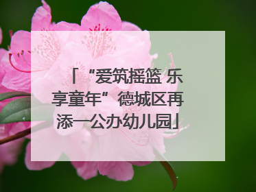 “爱筑摇篮 乐享童年”德城区再添一公办幼儿园