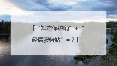 “知产保护哨”+“经盾服务站”=？