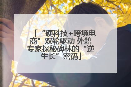 “硬科技+跨境电商”双轮驱动 外籍专家探秘碑林的“逆生长”密码