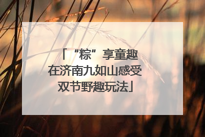 “粽”享童趣 在济南九如山感受双节野趣玩法