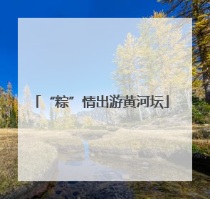 “粽”情出游黄河坛
