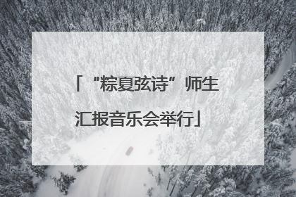 “粽夏弦诗”师生汇报音乐会举行