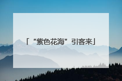 “紫色花海”引客来