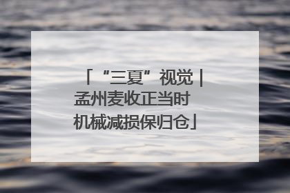 “三夏”视觉｜孟州麦收正当时 机械减损保归仓