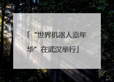 “世界机器人嘉年华”在武汉举行