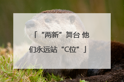 “两新”舞台 他们永远站“C位”