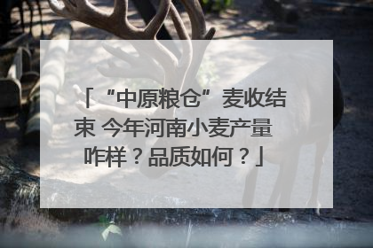 “中原粮仓”麦收结束 今年河南小麦产量咋样？品质如何？