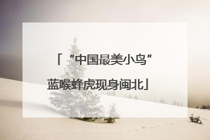 “中国最美小鸟”蓝喉蜂虎现身闽北