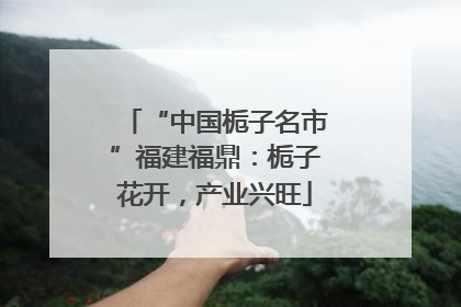 “中国栀子名市”福建福鼎：栀子花开，产业兴旺