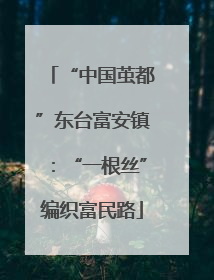 “中国茧都”东台富安镇：“一根丝”编织富民路