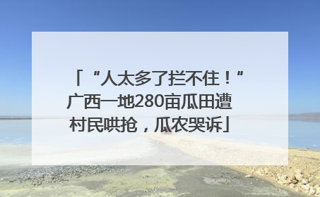 “人太多了拦不住！”广西一地280亩瓜田遭村民哄抢，瓜农哭诉