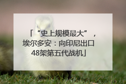 “史上规模最大”，埃尔多安：向印尼出口48架第五代战机