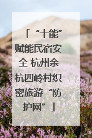 “十能”赋能民宿安全 杭州余杭四岭村织密旅游“防护网”
