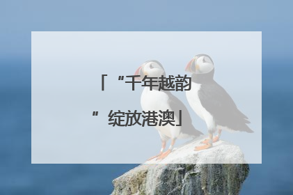 “千年越韵”绽放港澳