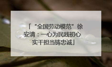 “全国劳动模范”徐安清：一心为民践初心 实干担当铸忠诚