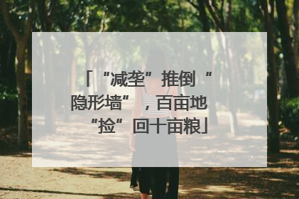 “减垄”推倒“隐形墙”，百亩地“捡”回十亩粮