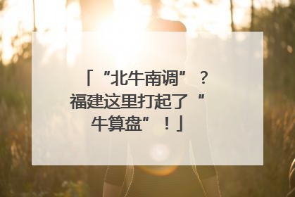 “北牛南调”？福建这里打起了“牛算盘”！