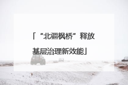 “北疆枫桥”释放基层治理新效能