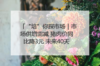 “培”你探市场｜市场供增需减 猪肉价同比降3元 未来40天便宜猪肉敞开吃