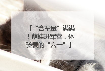 “含军量”满满！萌娃进军营，体验爱的“六一”