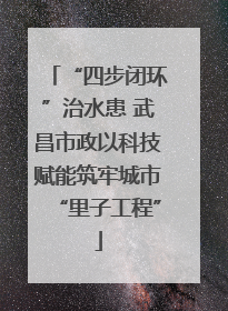 “四步闭环”治水患 武昌市政以科技赋能筑牢城市“里子工程”