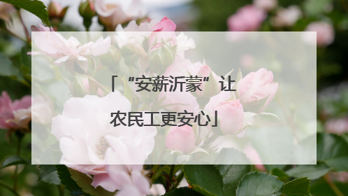 “安薪沂蒙”让农民工更安心