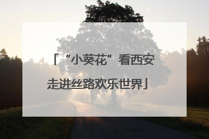 “小葵花”看西安走进丝路欢乐世界