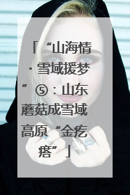 “山海情・雪域援梦”⑤：山东蘑菇成雪域高原“金疙瘩”