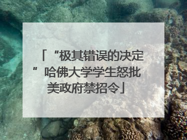“极其错误的决定”哈佛大学学生怒批美政府禁招令