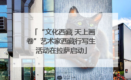 “文化西藏 天上画卷”艺术家西藏行写生活动在拉萨启动