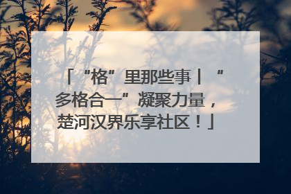 “格”里那些事丨“多格合一”凝聚力量，楚河汉界乐享社区！