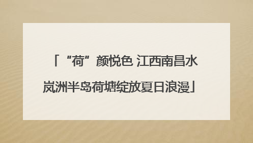 “荷”颜悦色 江西南昌水岚洲半岛荷塘绽放夏日浪漫