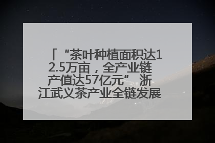“茶叶种植面积达12.5万亩，全产业链产值达57亿元” 浙江武义茶产业全链发展“加速度”