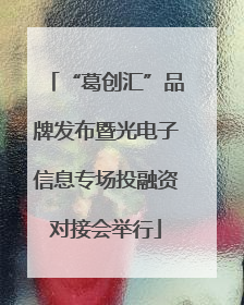 “葛创汇”品牌发布暨光电子信息专场投融资对接会举行
