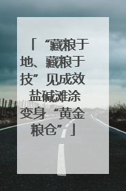 “藏粮于地、藏粮于技”见成效 盐碱滩涂变身“黄金粮仓”