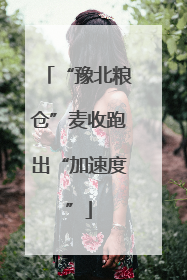 “豫北粮仓”麦收跑出“加速度”