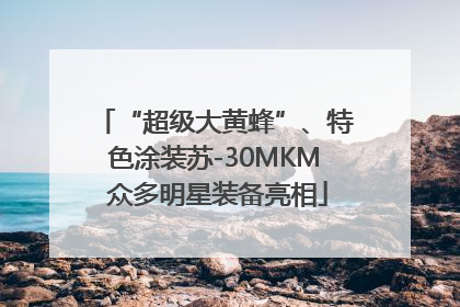 “超级大黄蜂”、特色涂装苏-30MKM 众多明星装备亮相