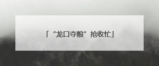 “龙口夺粮”抢收忙