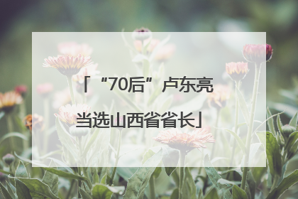 “70后”卢东亮当选山西省省长