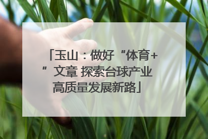 玉山：做好“体育+”文章 探索台球产业高质量发展新路