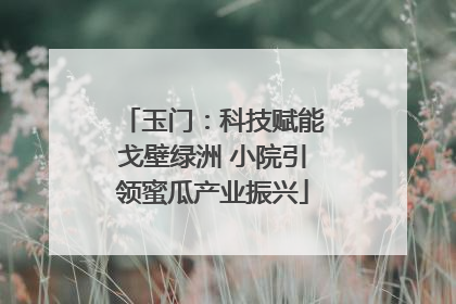 玉门：科技赋能戈壁绿洲 小院引领蜜瓜产业振兴