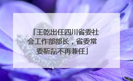 王乾出任四川省委社会工作部部长，省委常委靳磊不再兼任
