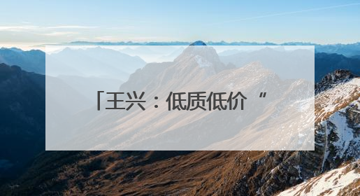 王兴：低质低价“内卷式” 竞争不可持续，美团将继续推动行业健康发展