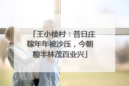 王小楼村：昔日庄稼年年被沙压，今朝粮丰林茂百业兴